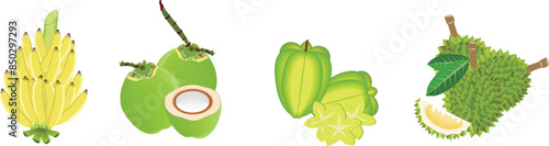 Fruits is bearing in Summer, Tropical fruits, summer fruits, bear flowers and fruits- Banana, Coconut, Starfruit, Durian
