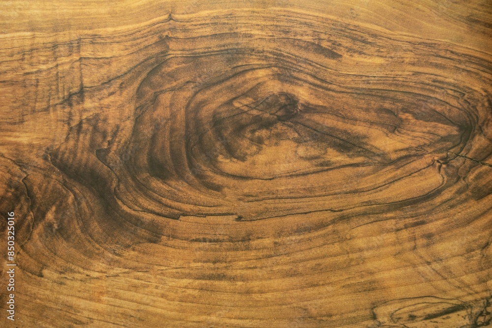 Close-up of a tree trunk cross section showing concentric rings and radial cracks. The wood texture and weathered appearance highlight the tree's age and natural patterns. Close-up of a tree trunk cross section showing concentric rings and radial cracks. The wood texture and weathered appearance highlight the tree's age and natural patterns.