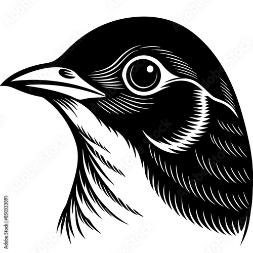 black and white bird head