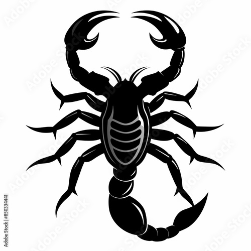 scorpion isolated on white