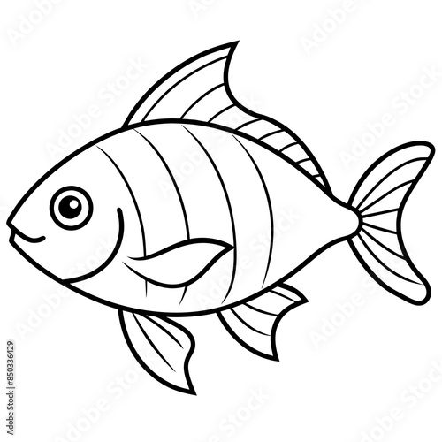 fish on white background