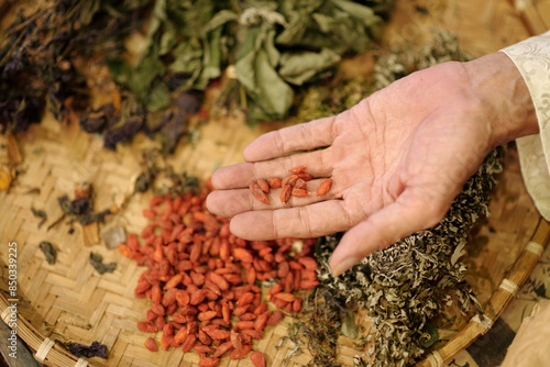 Fotografie Close-up of elder healer using herbs in traditional Asian medicine
