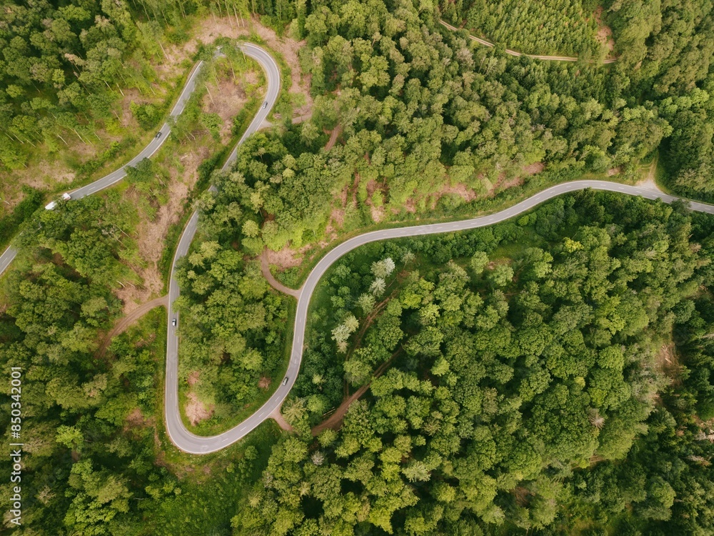 Aerial view of a winding road through a lush green forest Aerial view of a winding road through a lush green forest