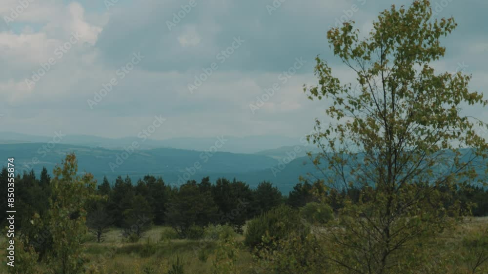 View of Countryside Landscape from Hill Top with Brecon Beacons with Long Grass and Trees View of Countryside Landscape from Hill Top with Brecon Beacons with Long Grass and Trees