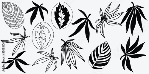 Illustration of the flowers on a white background. Vector illustration.