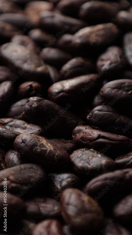 Roasted cocoa beans seeds background Roasted cocoa beans seeds background