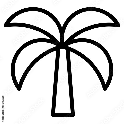palm tree line  photo