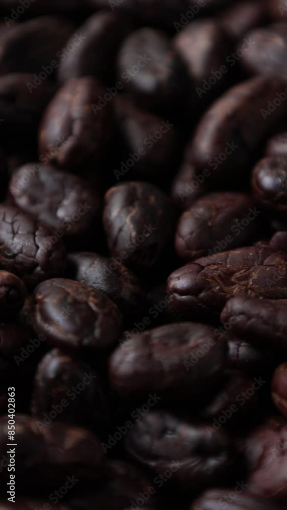 Roasted cocoa bean background Roasted cocoa bean background