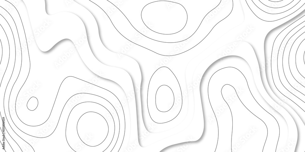 Abstract white paper cut background with lines. 3d white papercut topography relief. Cover layout template. topographic canyon geometric map relief texture with curved layers and shadow. Abstract white paper cut background with lines. 3d white papercut topography relief. Cover layout template. topographic canyon geometric map relief texture with curved layers and shadow.