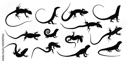 The set of silhouettes of big lizards.
