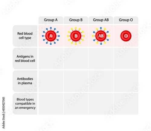 Abo Blood Group Concept Design. Blood donation, ABO Blood groups. four blood types, A,B, AB and O groups, made up from combinations of the type A and type B antigens. Vector Illustration.