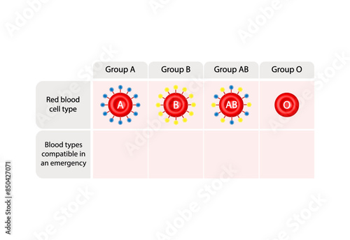 Blood types Compatibility. Blood donation, ABO Blood groups. four blood types, A,B, AB and O groups, made up from combinations of the type A and type B antigens. Vector Illustration.