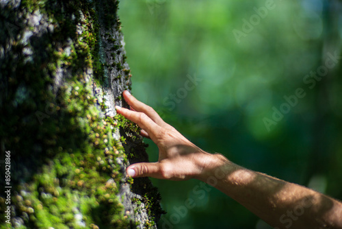 A man's hand touch the tree trunk close-up. Bark wood. Caring for the environment. The ecology concept of saving the world and love nature by human