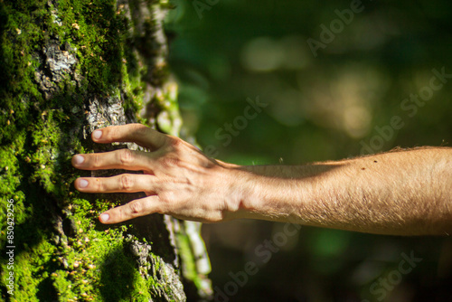 A man's hand touch the tree trunk close-up. Bark wood. Caring for the environment. The ecology concept of saving the world and love nature by human