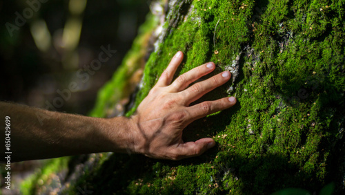 A man's hand touch the tree trunk close-up. Bark wood. Caring for the environment. The ecology concept of saving the world and love nature by human