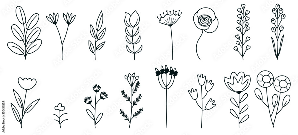 A set of various flowers, branches, leaves drawn by hand. Flora vector illustration in doodle A set of various flowers, branches, leaves drawn by hand. Flora vector illustration in doodle