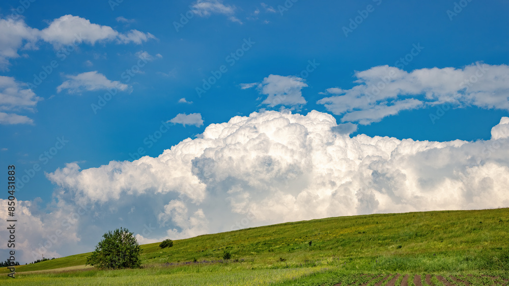 Summer fields and big cumulus cloud, mountainous area Summer fields and big cumulus cloud, mountainous area