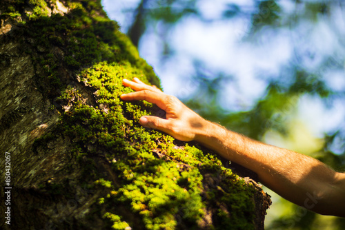 A man's hand touch the tree trunk close-up. Bark wood.Caring for the environment. The ecology concept of saving the world and love nature by human