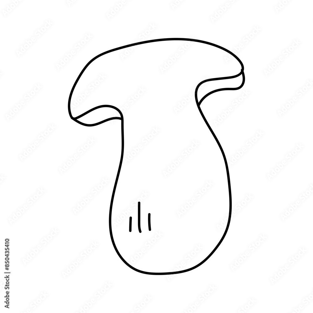 Porcini in doodle style. Vector isolated on white background Porcini in doodle style. Vector isolated on white background