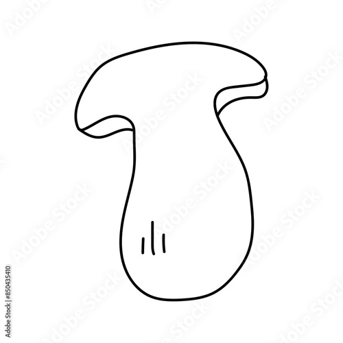 Porcini in doodle style. Vector isolated on white background