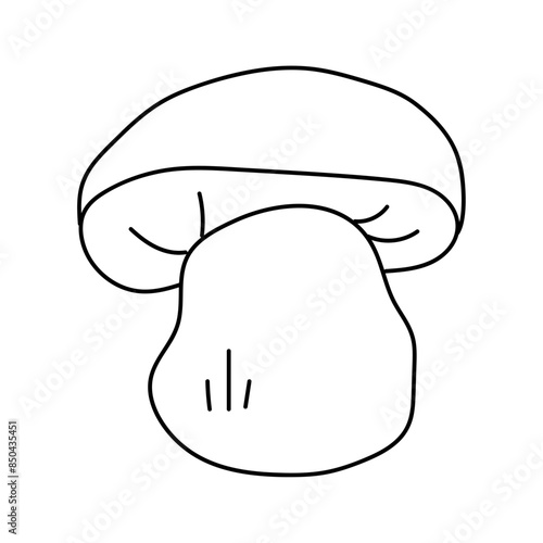 Porcini in doodle style. Vector isolated on white background