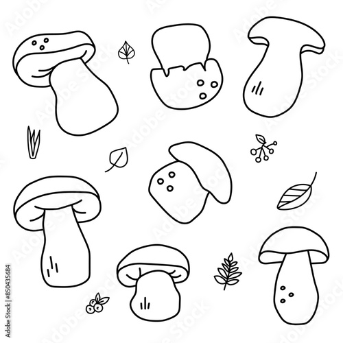 Porcini set in doodle style. Vector isolated on white background