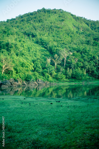 green lake with beautiful trees and grass