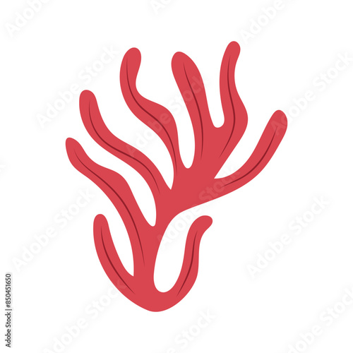 Algae. Underwater life. Coral. Abstract Seaweed Shape. Aesthetic Element.