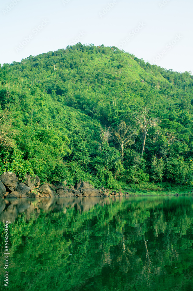 green lake with beautiful trees and grass green lake with beautiful trees and grass