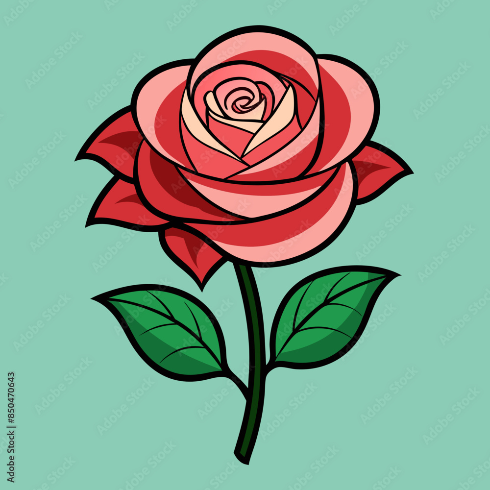 illustration of rose illustration of rose