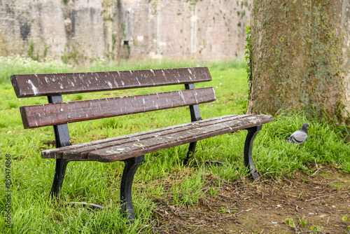 Obraz na płótnie Old bench in a public park in france w salonie
