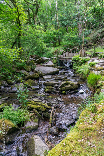 the circular walk around Llanberis lake , Snowdonia