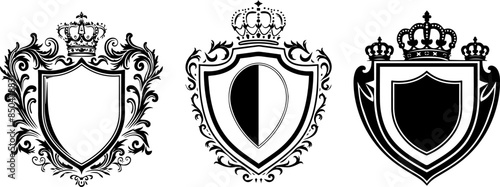 set black and white shield with crown