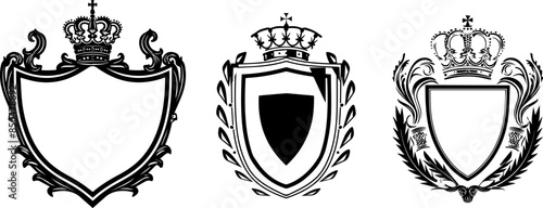 set black and white shield with crown