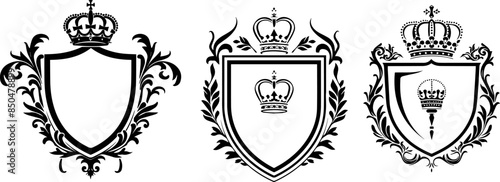 set black and white shield with crown