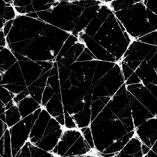 Black and white sweb pattern with grunge texture. photo