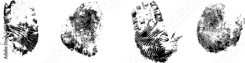 fingerprint collection
