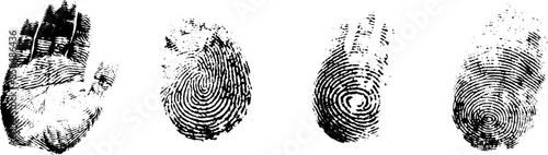 fingerprint