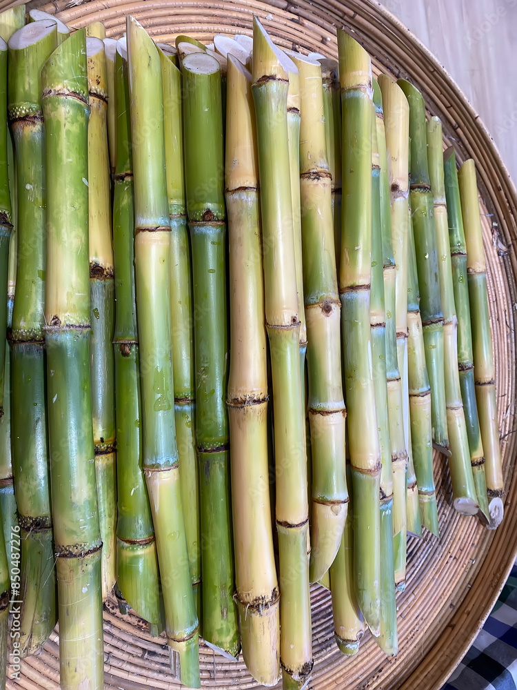 Bamboo shoots for cooking. It is the young bamboo shoot that is edible. Bamboo shoots for cooking. It is the young bamboo shoot that is edible.