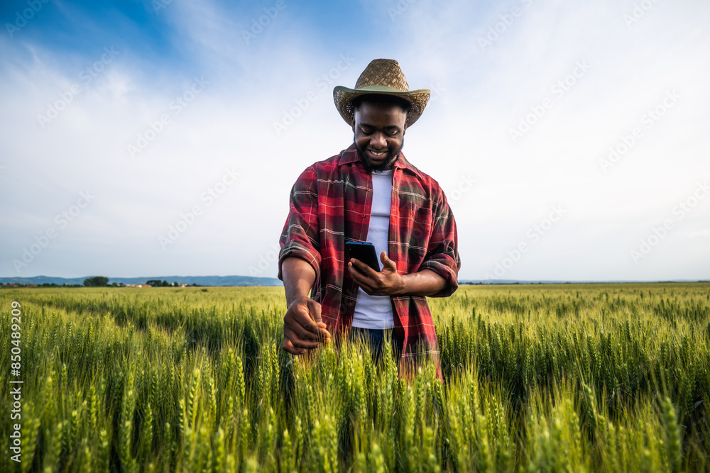 Young farmer using mobile phone while standing in his growing wheat field. Young farmer using mobile phone while standing in his growing wheat field.