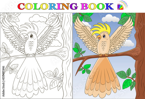 Coloring book for children on the theme: The cockatoo parrot sits on a branch. Vector illustration 10 eps.