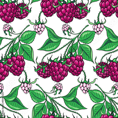 Ripe raspberry branches. Seamless pattern. Design of candies and sweet dessert . Vector illustration.