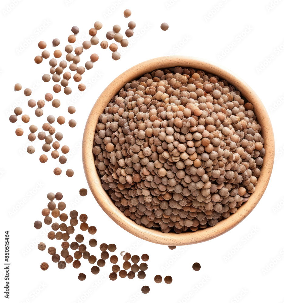PNG Lentils seeds vegetable lentil plant. PNG Lentils seeds vegetable lentil plant.
