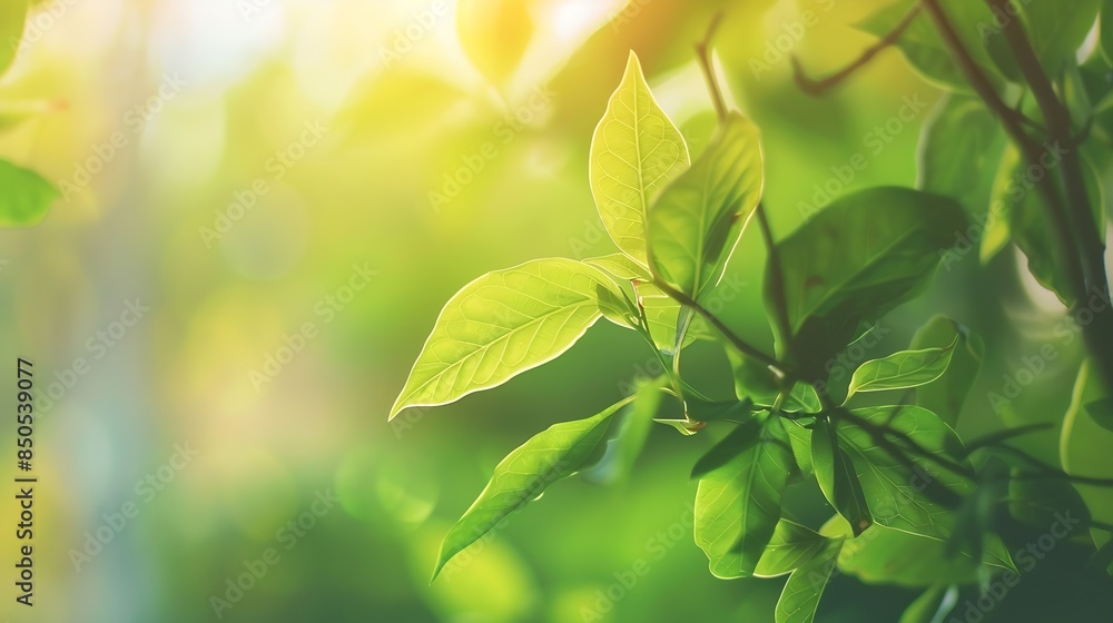 Nature of green leaf in garden at summer Natural green leaves plants using as spring background cover page environment ecology or greenery wallpaper : Generative AI Nature of green leaf in garden at summer Natural green leaves plants using as spring background cover page environment ecology or greenery wallpaper : Generative AI