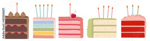 5 different colorful birthday cakes. Cake slices vector illustration