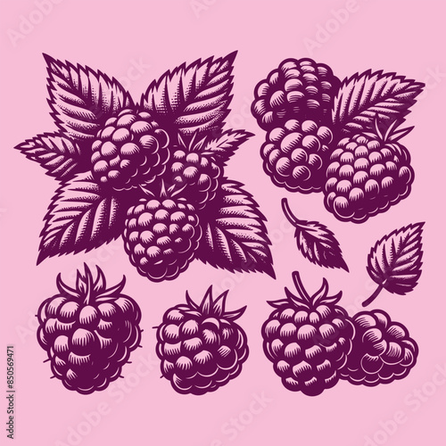 Raspberries. Berry set. Hand drawn engraving vector illustration sketch. Icon, print, emblem. Isolated objects, cut out