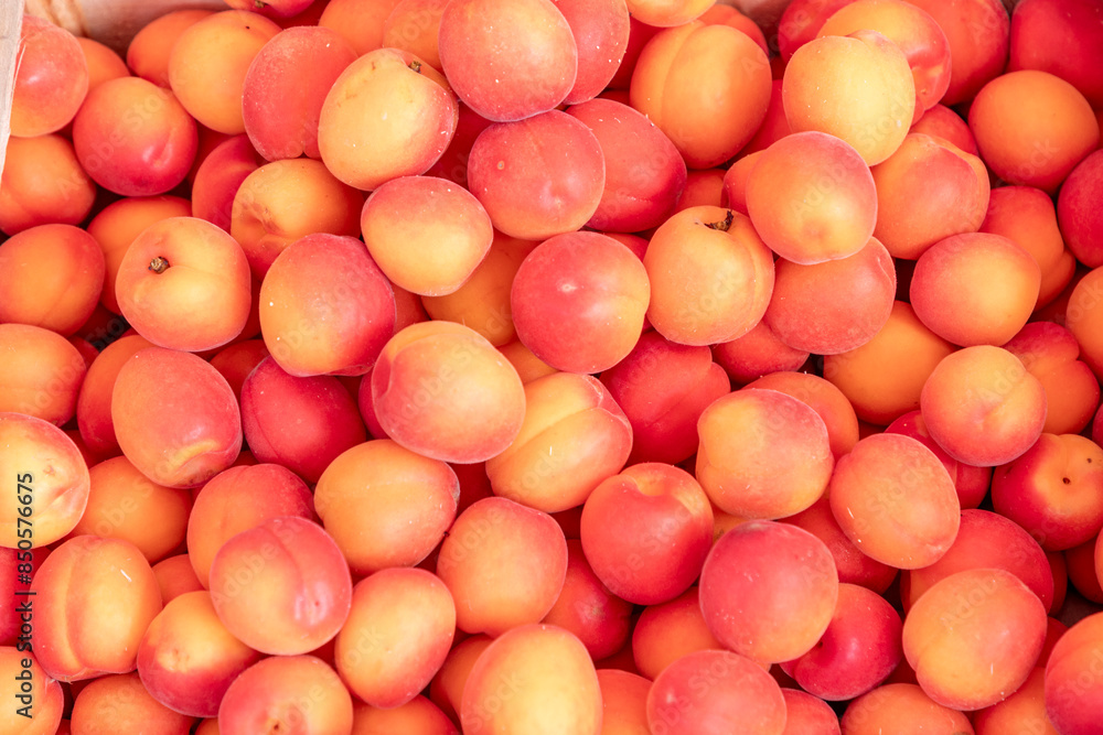 apricots fruits at the farmers market apricots fruits at the farmers market