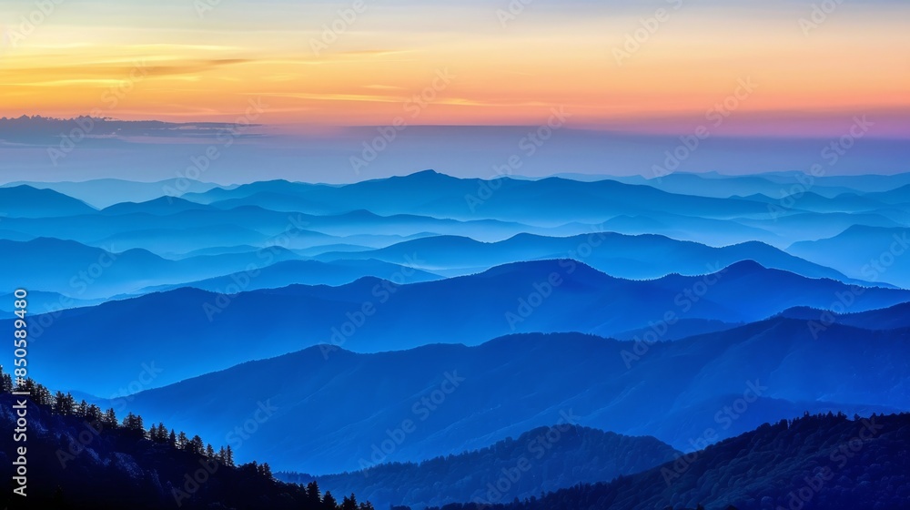 Fototapeta premium https://s