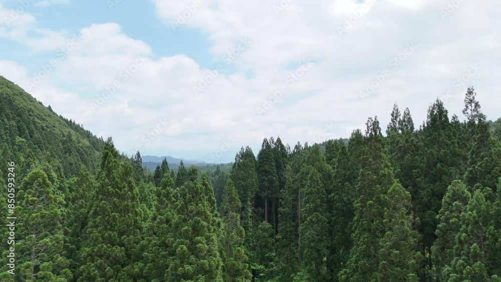 広大な森林と山 空撮 ドローン撮影 広大な森林と山 空撮 ドローン撮影