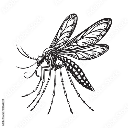 Mosquito Silhouette Vector Art Illustration